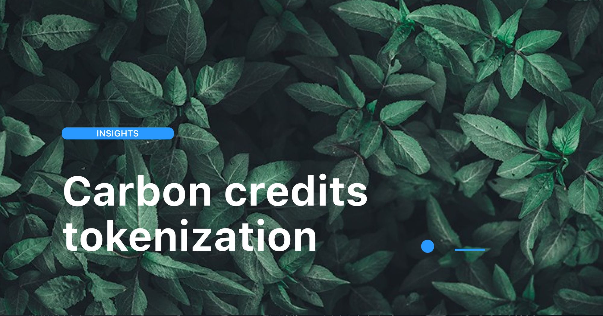 What are carbon credits and how to tokenize them?